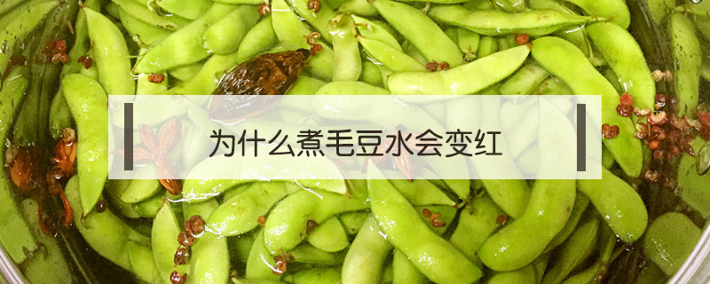 為什么煮毛豆水會變紅