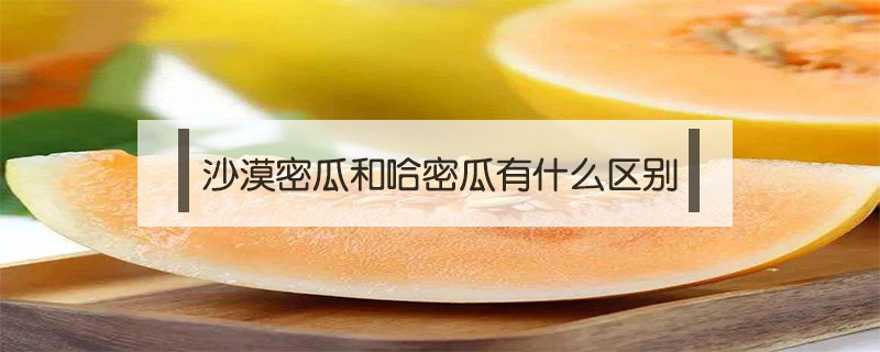 沙漠密瓜和哈密瓜有什么區(qū)別