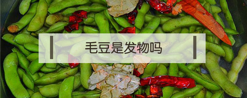 毛豆是發(fā)物嗎