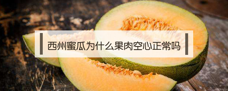 西州蜜瓜為什么果肉空心正常嗎