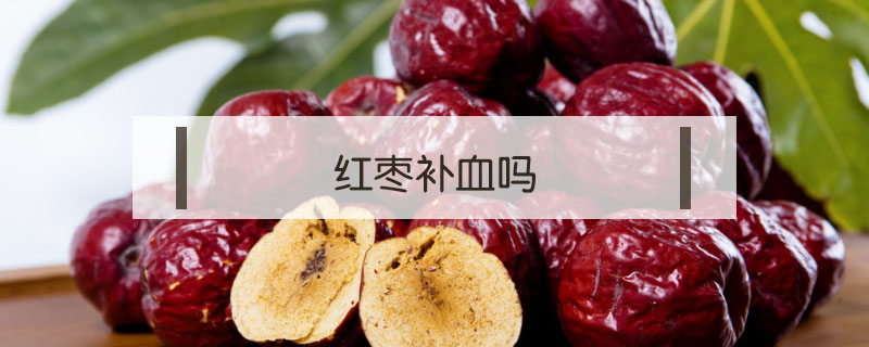 紅棗補血嗎