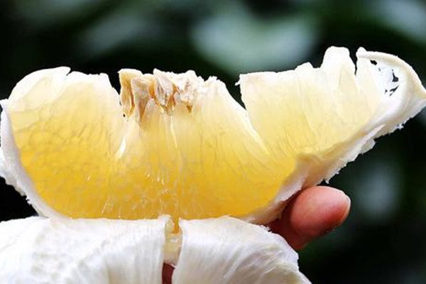 柚子苦能吃嗎