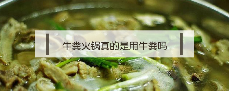 牛糞火鍋真的是用牛糞嗎