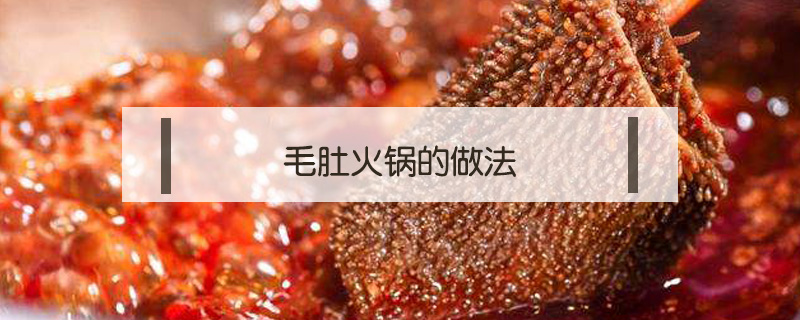 毛肚火鍋的做法