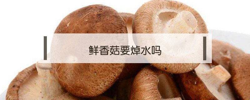鮮香菇要焯水嗎
