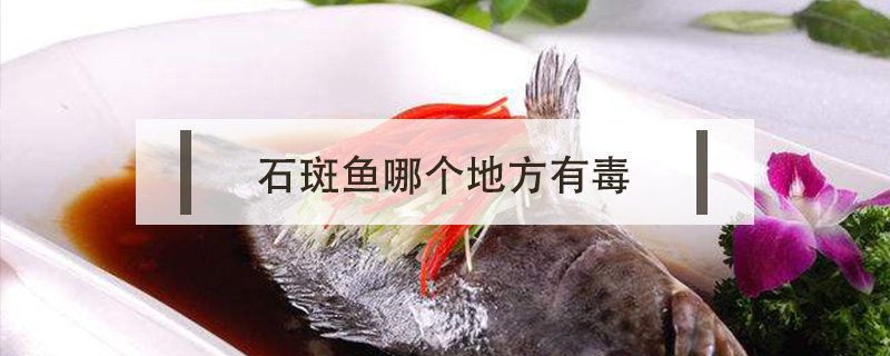 石斑魚(yú)哪個(gè)地方有毒