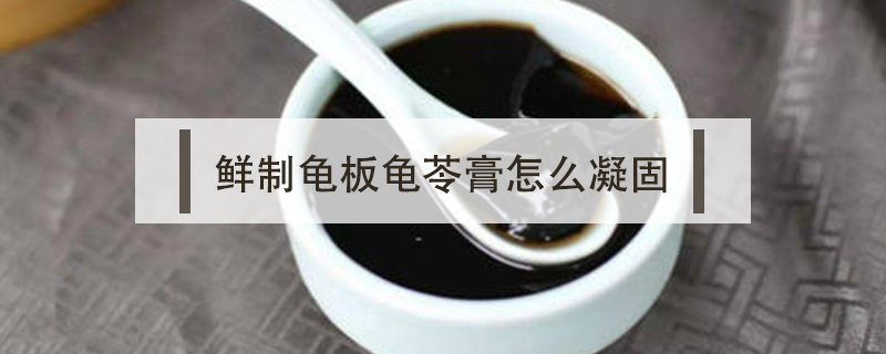 鮮制龜板龜苓膏怎么凝固