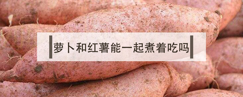 蘿卜和紅薯能一起煮著吃嗎