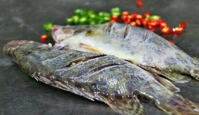 桂魚(yú)為什么是臭的