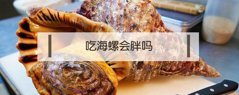 吃海螺會(huì)胖嗎