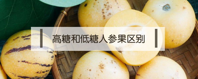 高糖和低糖人參果區別
