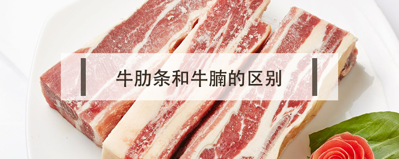 牛肋條和牛腩的區別