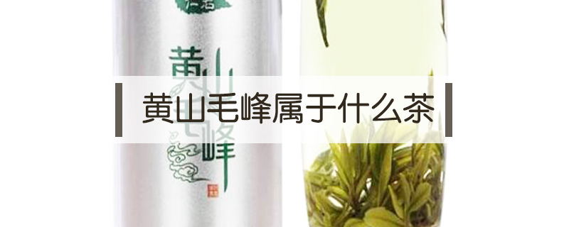 黃山毛峰屬于什么茶