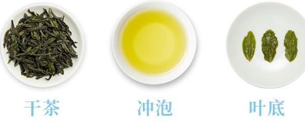 六安瓜片屬于什么茶
