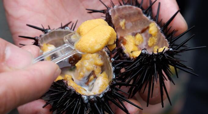 海膽怎么吃