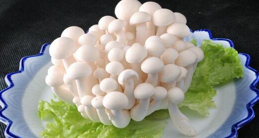 香菇和白玉菇的區別