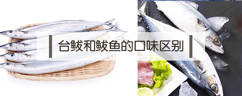 秋刀魚和鲅魚的區別是什么