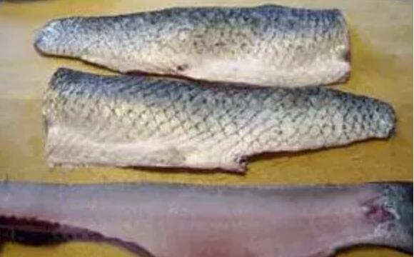 魚片怎么切