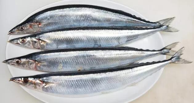 秋刀魚和鲅魚的區別是什么