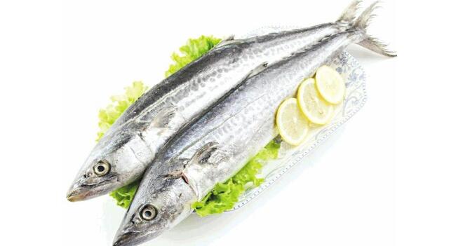 鮐鲅魚和燕尾鲅有什么區別