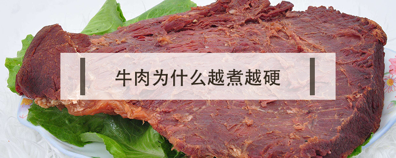 牛肉為什么越煮越硬