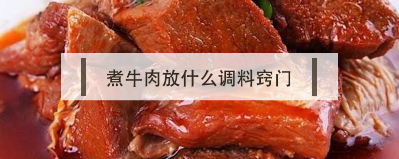 煮牛肉放什么調料竅門