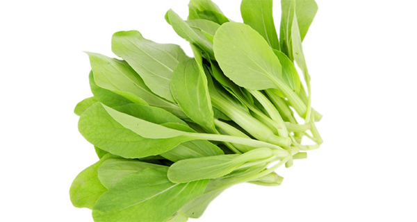 雞毛菜跟油菜跟小白菜的區別