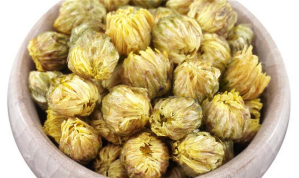 野菊花和胎菊的區別