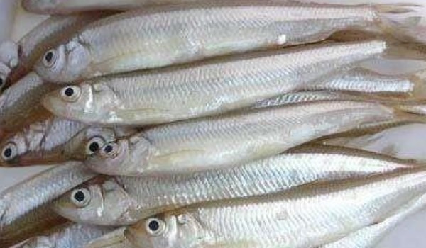 寧海特產(chǎn)土特產(chǎn)有哪些