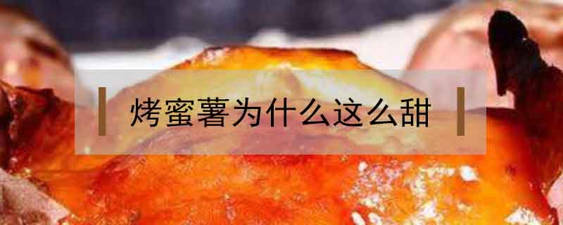 烤蜜薯為什么這么甜