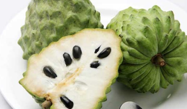 釋迦果哪里的特產
