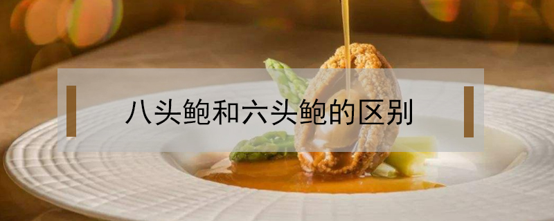 八頭鮑和六頭鮑的區(qū)別