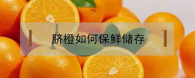 臍橙如何保鮮儲(chǔ)存