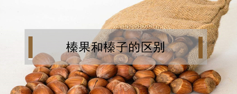 榛果和榛子的區(qū)別