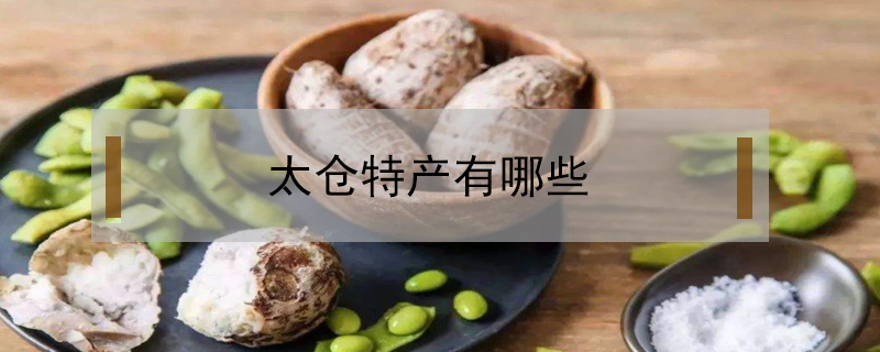 太倉特產有哪些