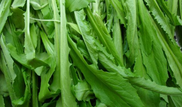 春分吃什么美食，春分節氣養生吃什么菜?