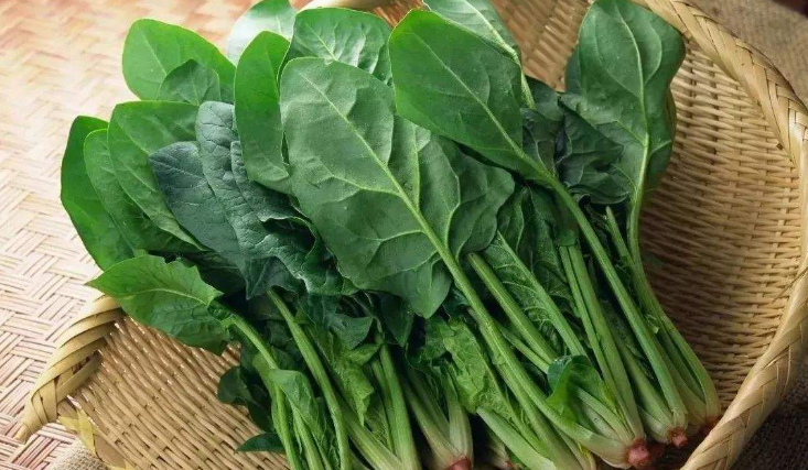 春分吃什么美食，春分節氣養生吃什么菜?