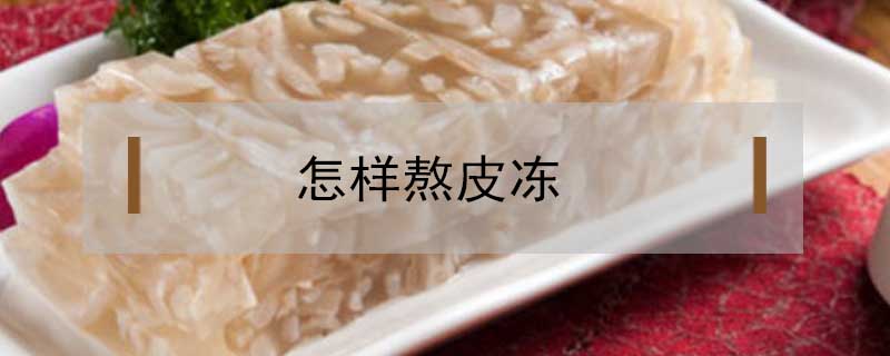 怎樣熬皮凍