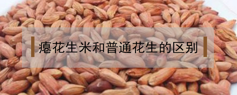 癟花生米和普通花生的區(qū)別