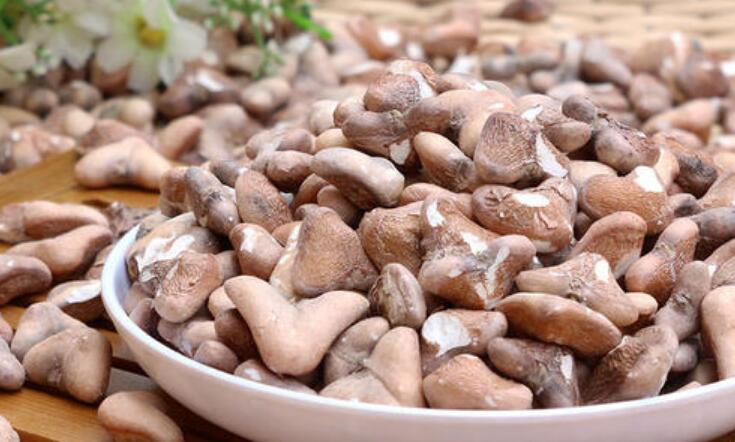干菱角米怎么泡發(fā)