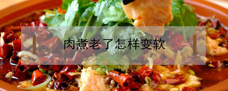 肉煮老了怎樣變軟