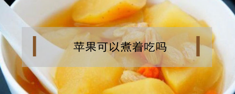 蘋果可以煮著吃嗎