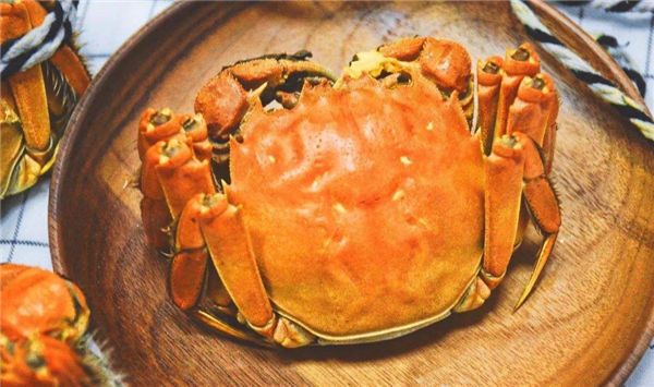 大閘蟹什么季節(jié)吃最好，吃大閘蟹喝什么酒好