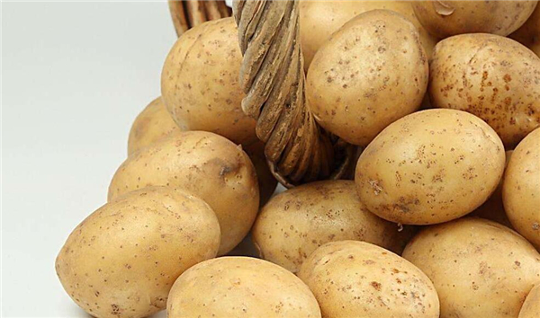 可以放一周不壞的蔬菜