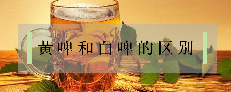 黃啤和白啤的區(qū)別