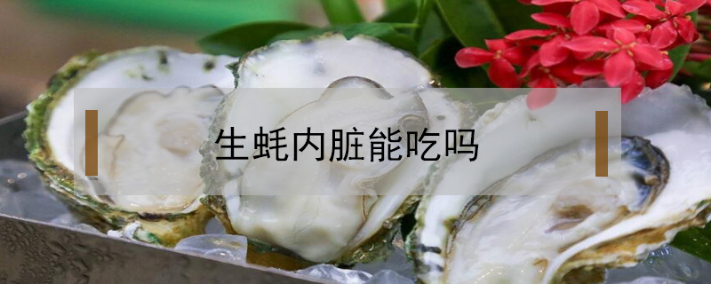 生蠔內(nèi)臟能吃嗎