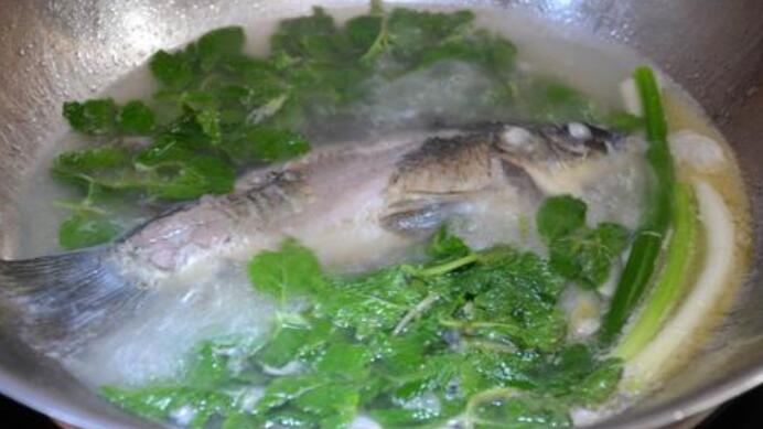 鯽魚湯怎樣做營養(yǎng)高