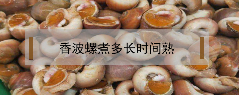 香波螺煮多長時(shí)間熟