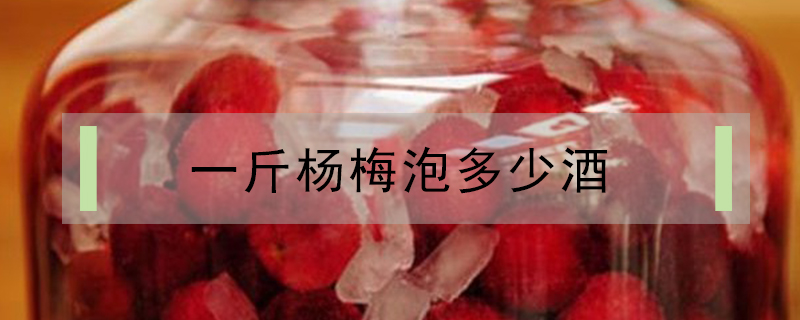 一斤楊梅泡多少酒