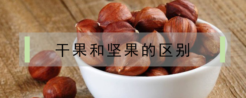 干果和堅果的區(qū)別